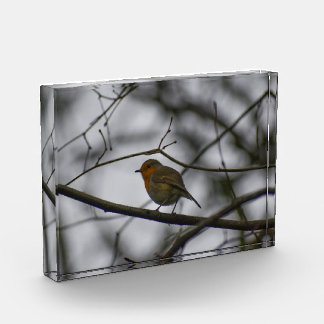 Robin photo block