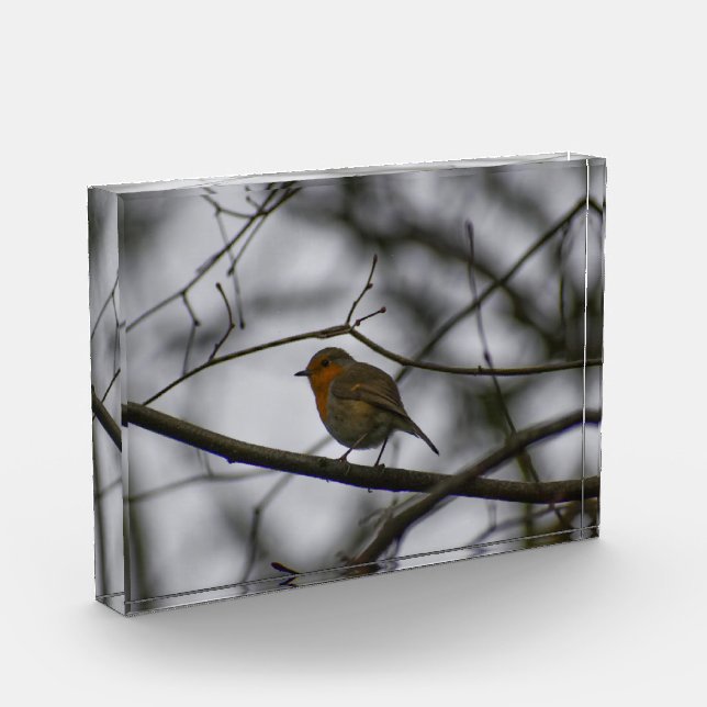 Robin  photo block (Left)