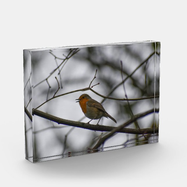 Robin  photo block (Left)