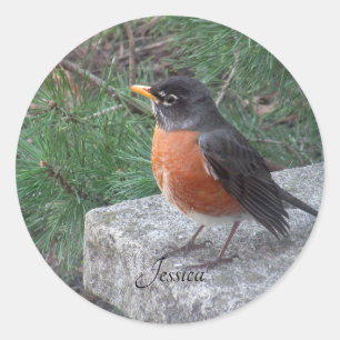 Robin Photo Personalized Name  Classic Round Sticker