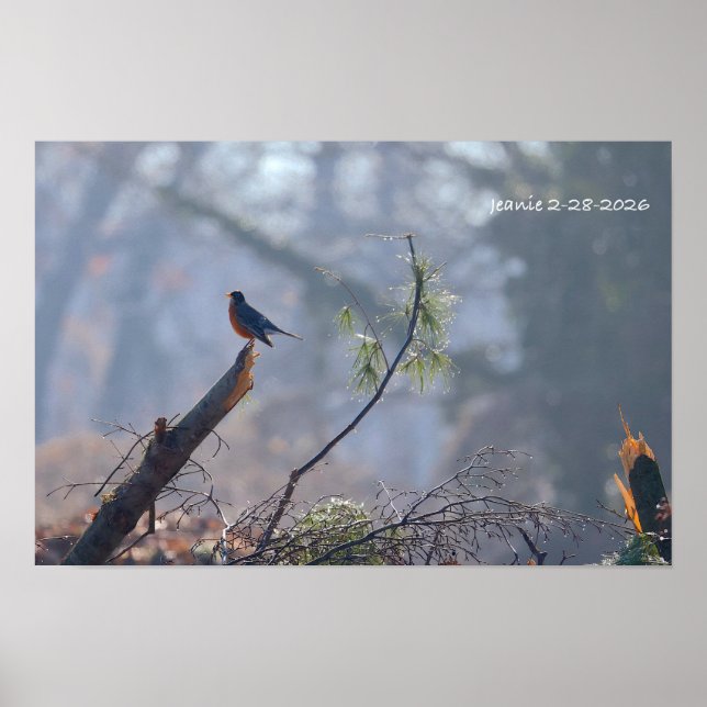 Robin Poster (Front)