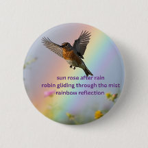 Robin Rainbow