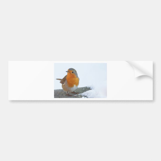 Robin Red Breast Bumper Sticker (Front)