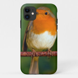 Robin Red Breast iPhone 11 Case