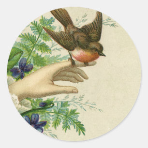 Robin red breast on hand classic round sticker
