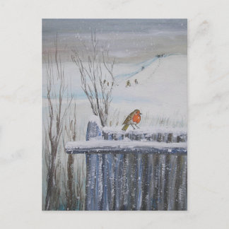 Robin Red Breast Postcard