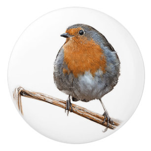 Robin red breast wildlife bird ceramic knob