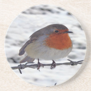 Robin Redbreast Coaster
