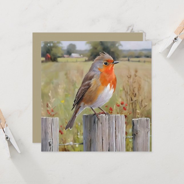  Robin Redbreast Greetings Card (Front/Back In Situ)