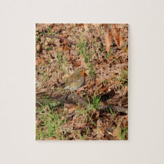 Robin Redbreast Jigsaw Puzzle
