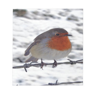Robin Redbreast Notepad