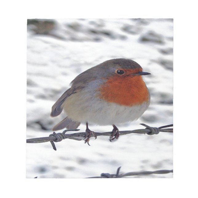 Robin Redbreast Notepad (Front)