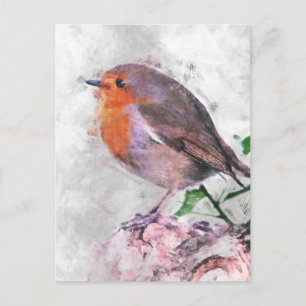 Robin Redbreast Postcard