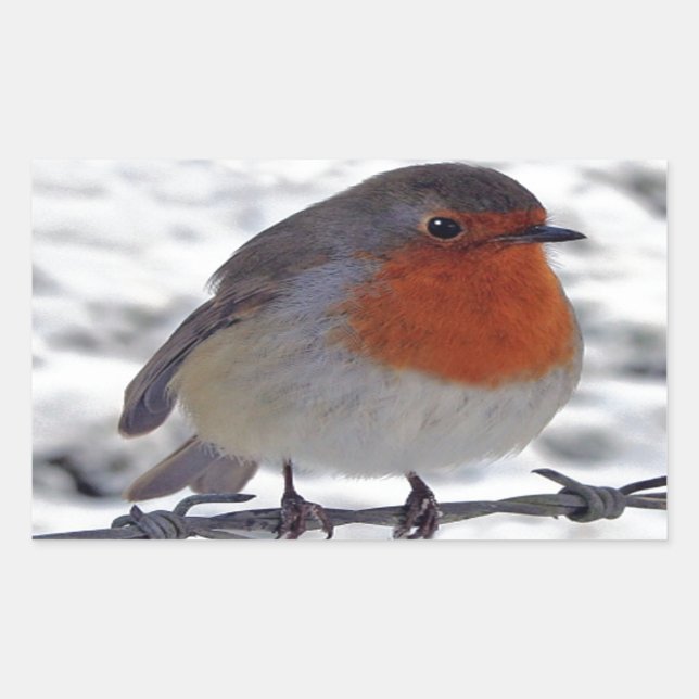 Robin Redbreast Sticker (Front)