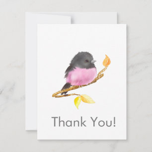 Robin rose Oiseau Toutes Occassion Merci Carte pou