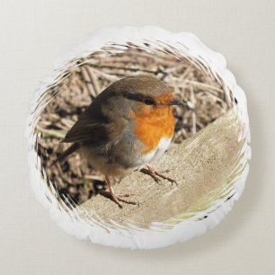 ROBIN ROUND PILLOW