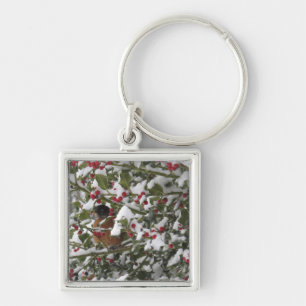 robin sheltering in a holly tree after a snow keychain