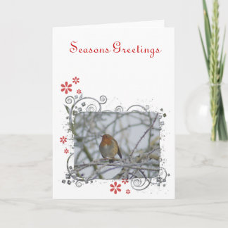 Robin sitting on briar holiday card