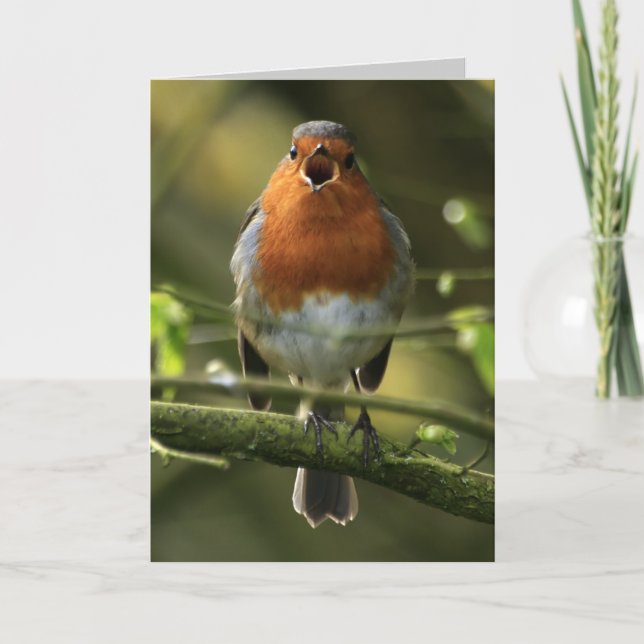 Robin Song Card (Front)