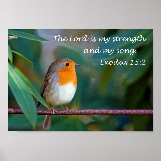 Robin Song Poster (Front)