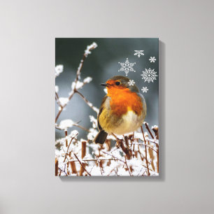 Robin Songbird  with Snowflakes Canvas Print