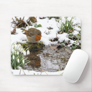 Robin Staring at its Reflection in Puddle Mouse Pad