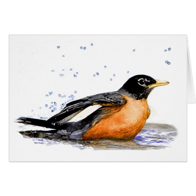Robin Taking a Bath (Front Horizontal)