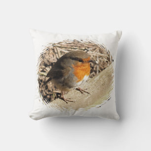 ROBIN THROW PILLOW