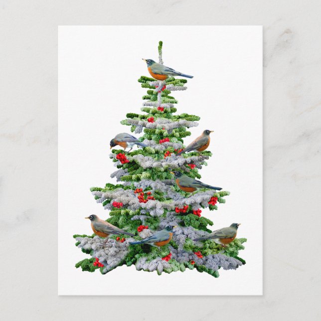 Robin Tree Postcard (Front)