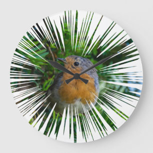 Robin wall clock