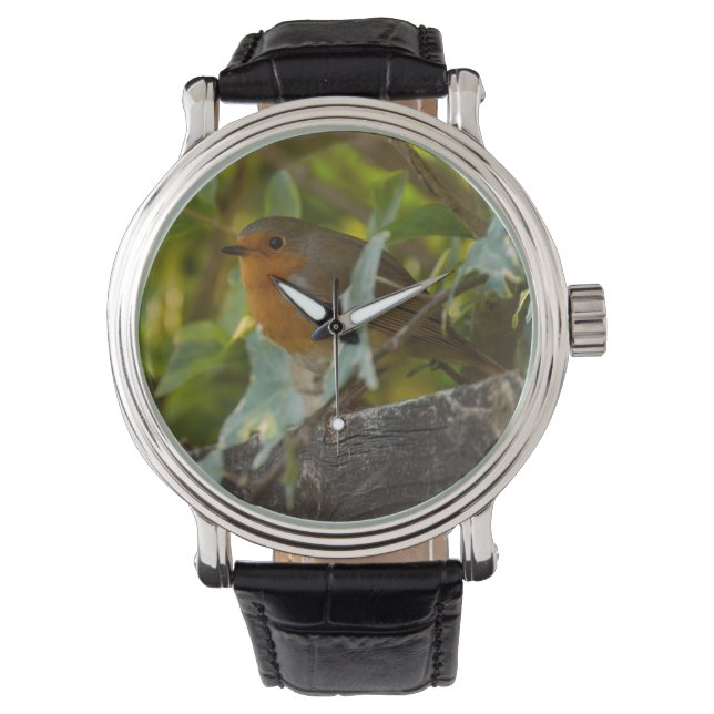 Robin Watch (Front)
