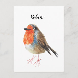 Robin watercolor painted bird. Nice card. Postcard