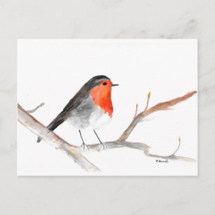 Robin watercolour painting Christmas art Holiday Postcard