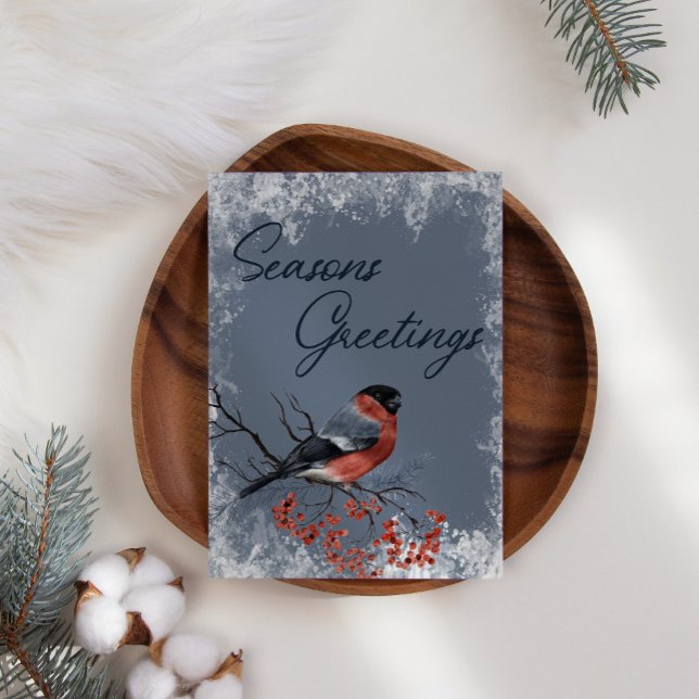 Robin Winter Birds Business Christmas Carte de vac (Créateur téléchargé)