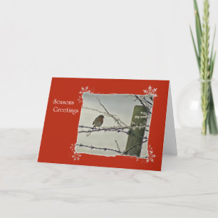 Robin winter scene holiday card