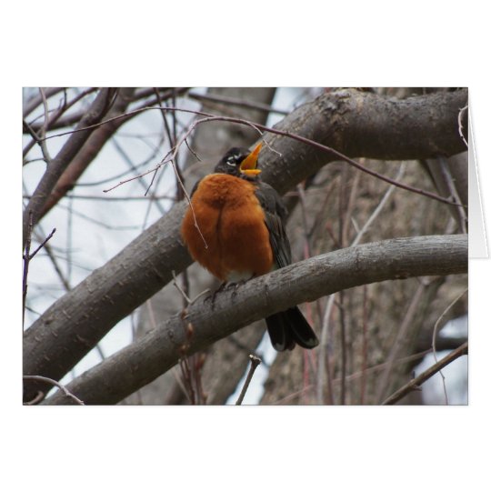 Robin & Wren, Joyful Noise Card