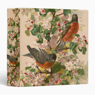 Robins 1896 binder