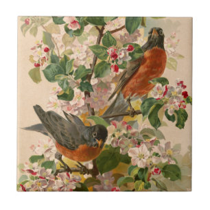 Robins 1896 tile