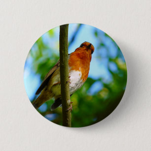 ROBINS 2 INCH ROUND BUTTON