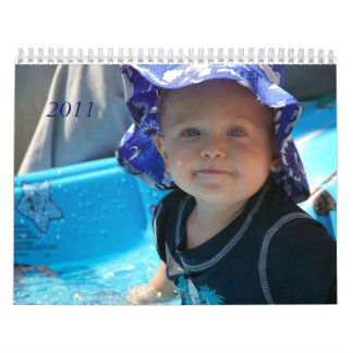 Robin's calender calendar