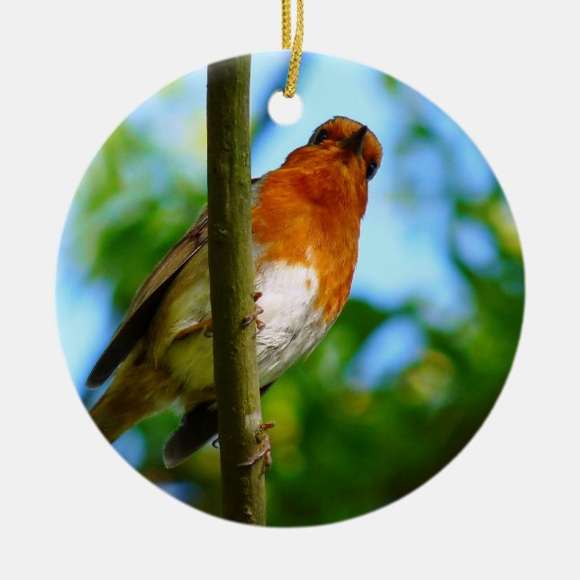 ROBINS CERAMIC ORNAMENT (Front)