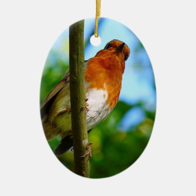 ROBINS CERAMIC ORNAMENT (Front)