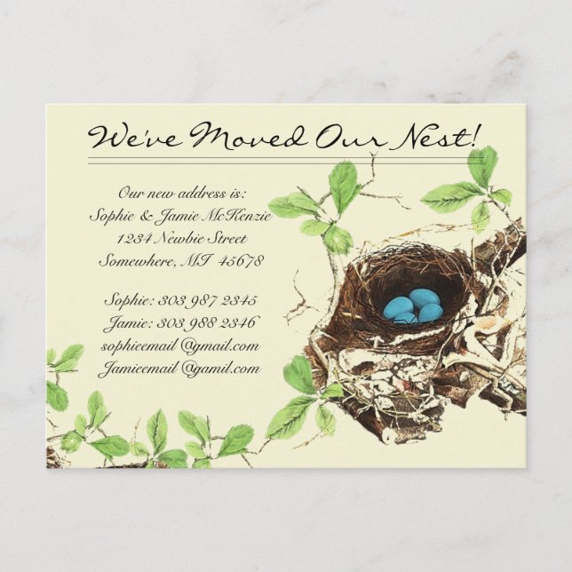 Robins Egg Blue Eggs in Nest  We Have Moved Announcement Postcard (Front)