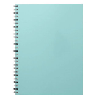 Robin's Egg Blue Notebook