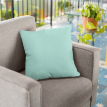 Robin's Egg Blue Solid Colour Customize It