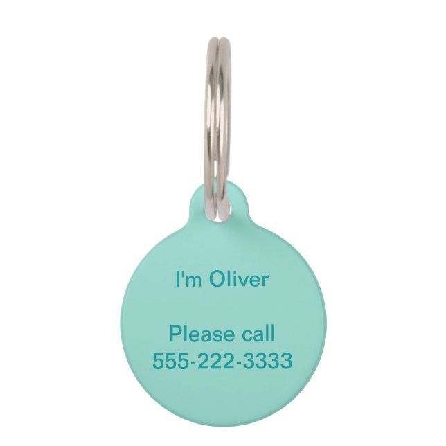 Robin's Egg Blue Solid Colour Pet Tag (Front)