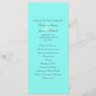 robin's egg blue turquoise aqua blue wedding program