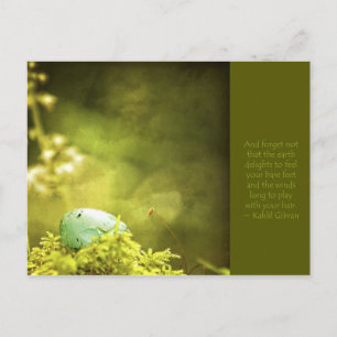 Robins Egg on Moss Photo with Inspirational Quote Postcard