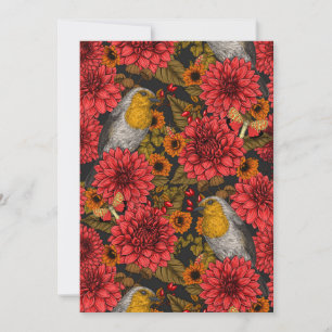 Robins in the autumn garden, red dahlias on black