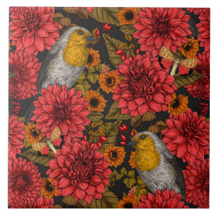 Robins in the autumn garden, red dahlias on black tile